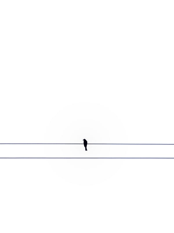 Обои