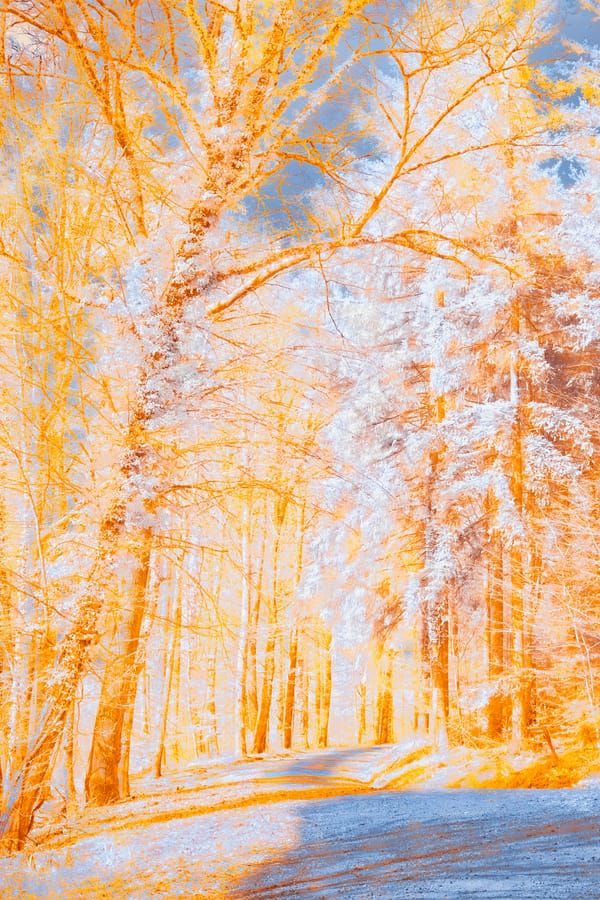 Обои