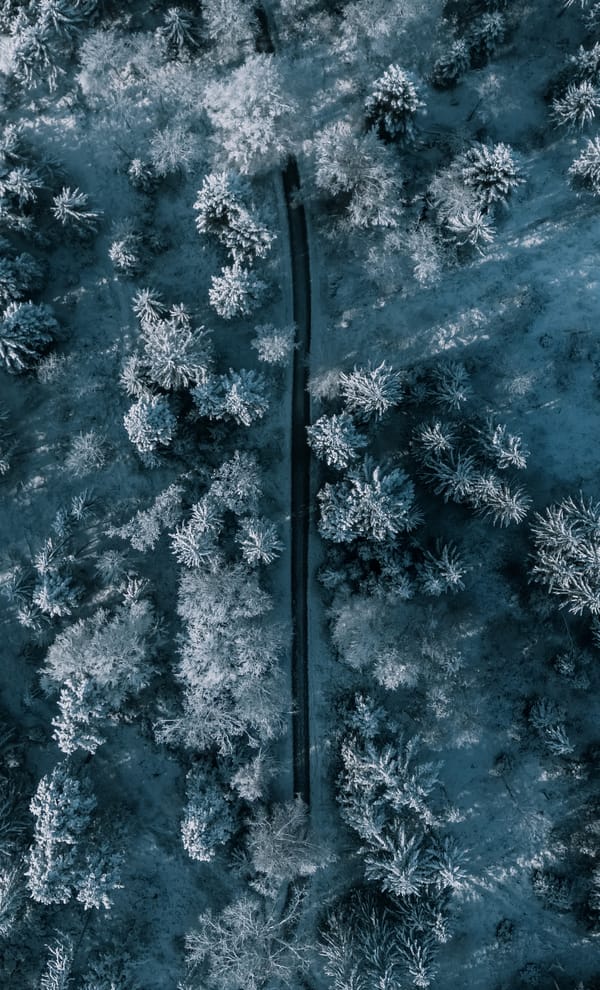 Обои