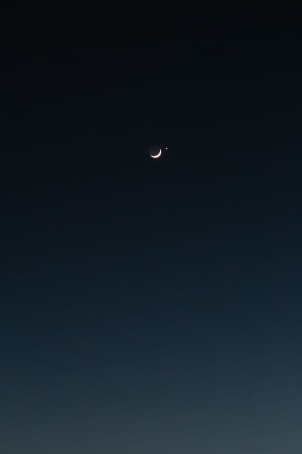 Обои