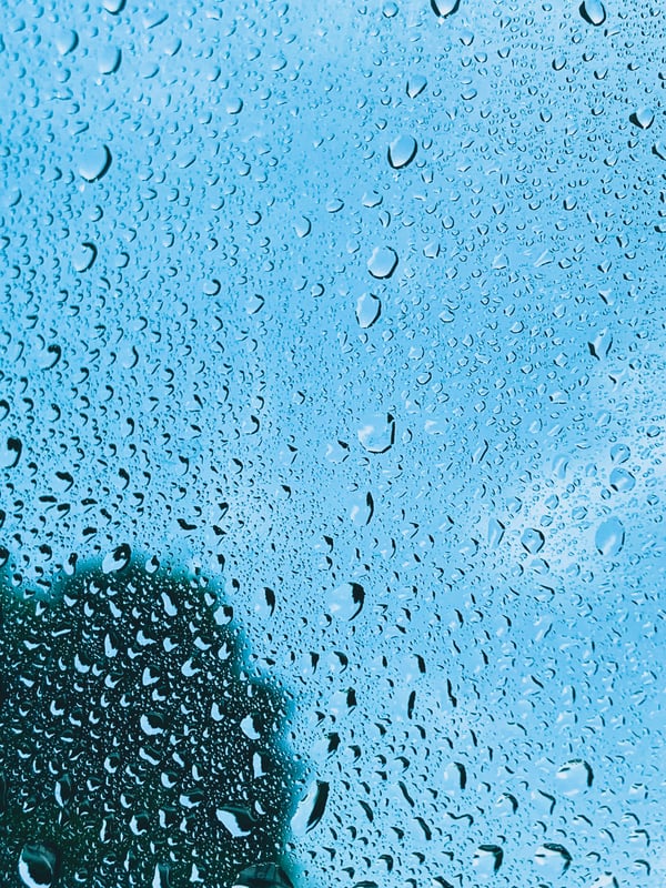 Обои
