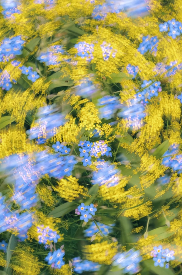 Обои