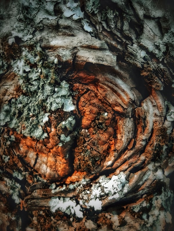 Обои