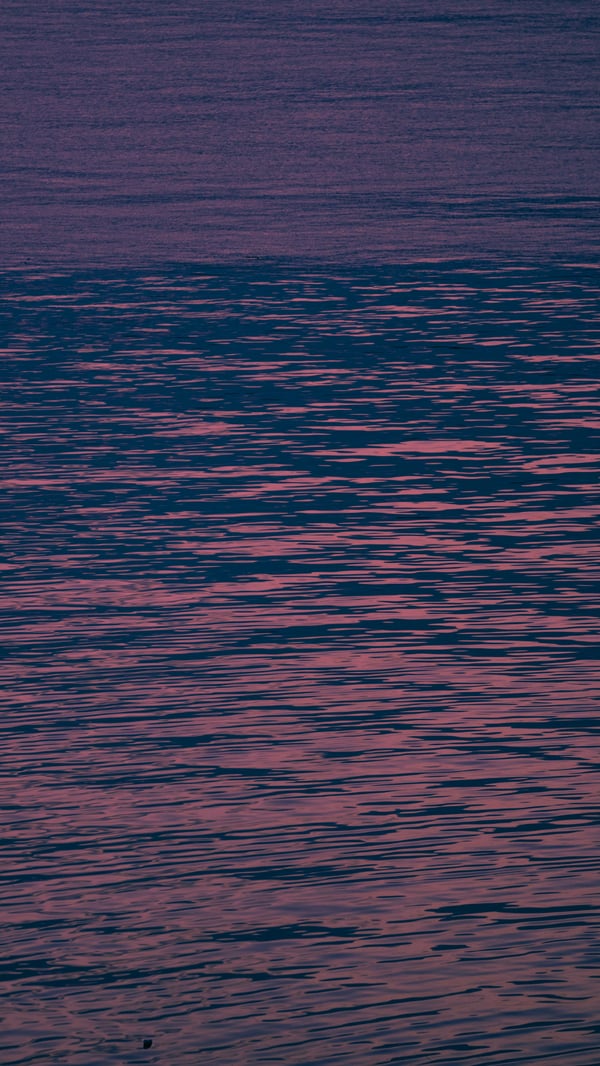 Обои