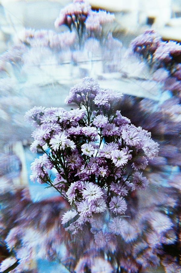 Обои