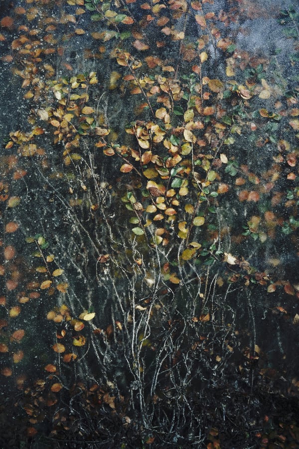 Обои