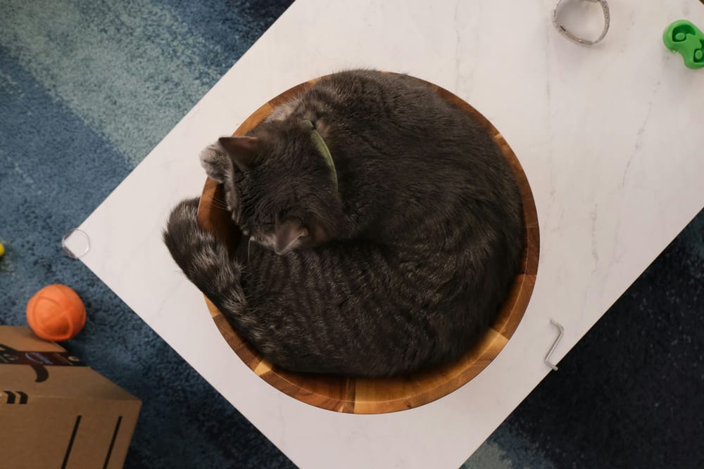 Обои