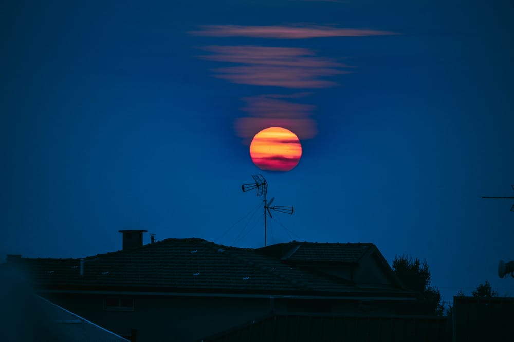 Обои