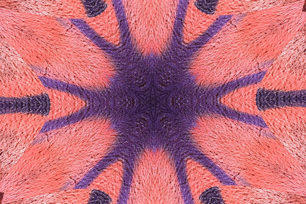 Обои