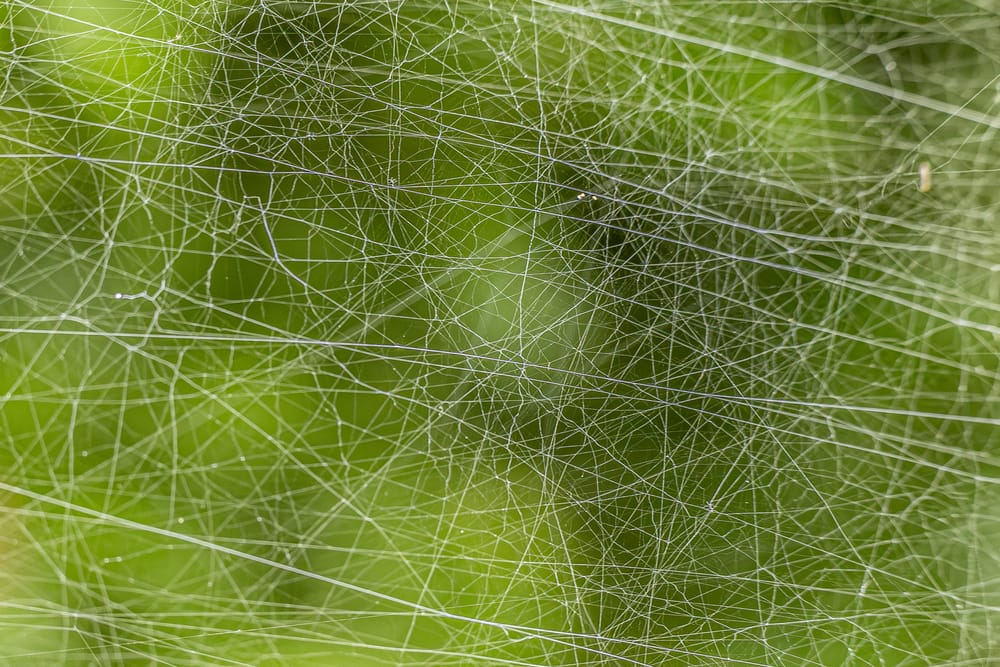 Обои
