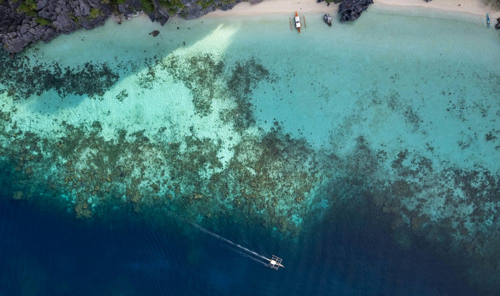 Обои