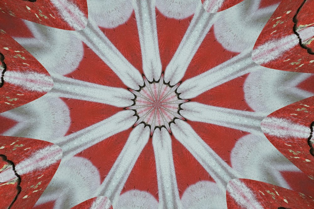 Обои