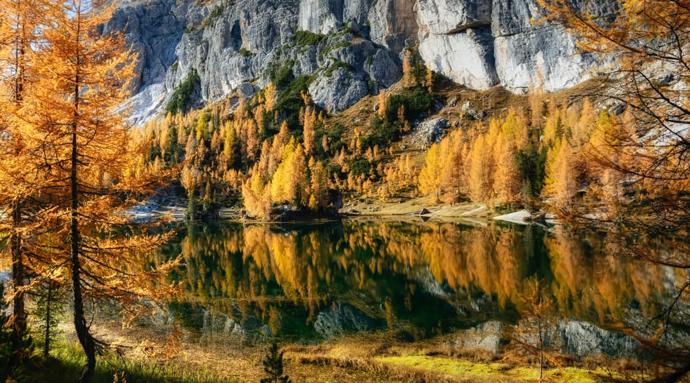 Обои