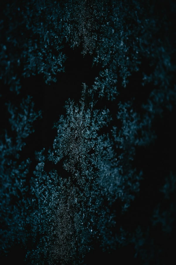 Обои