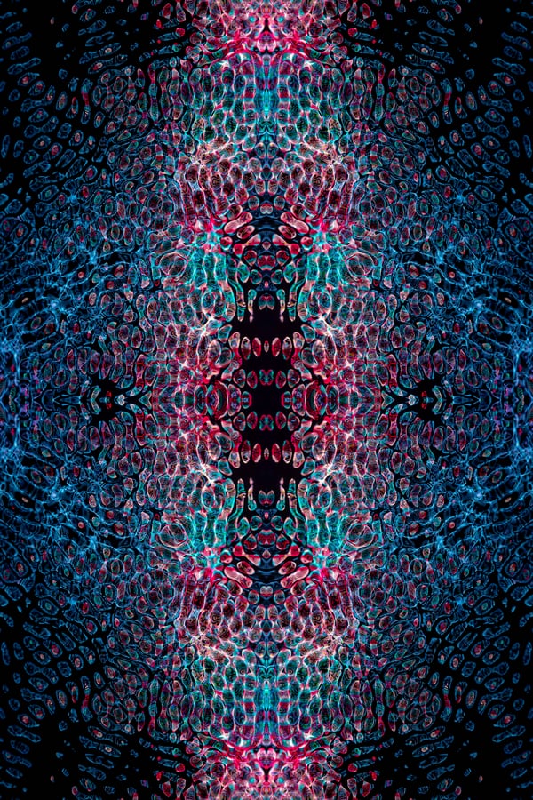 Обои