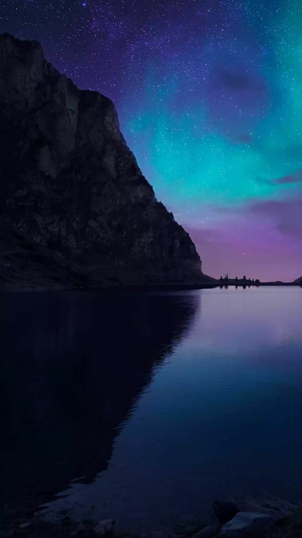 Обои