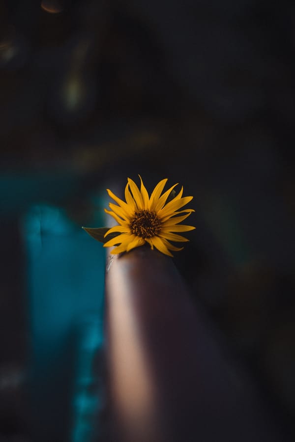 Обои