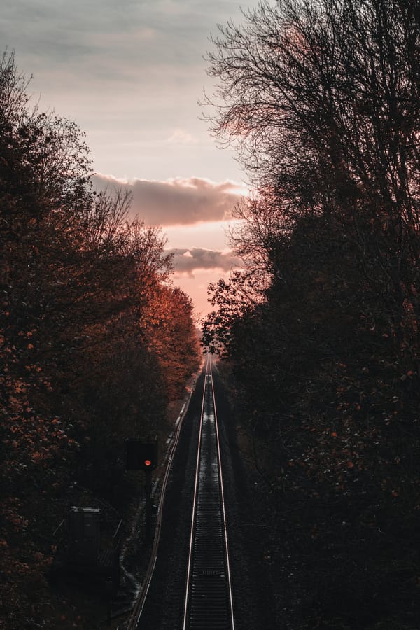Обои