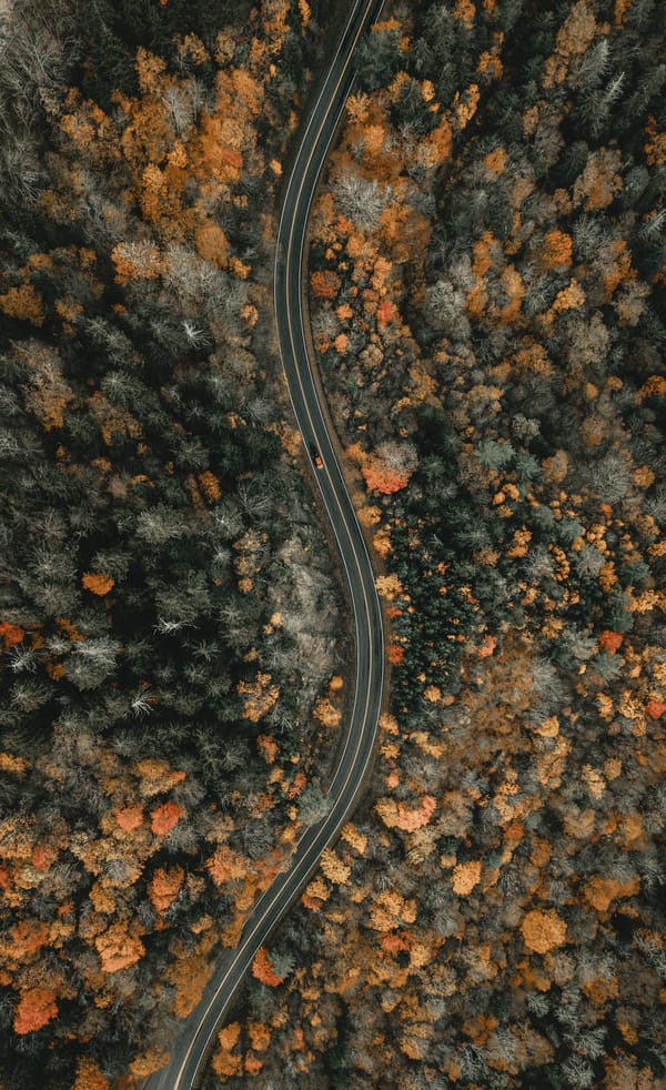 Обои