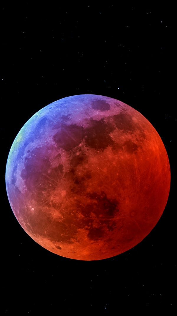 Обои
