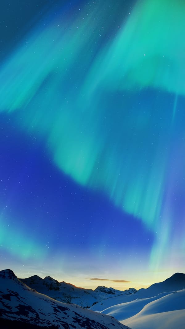 Обои