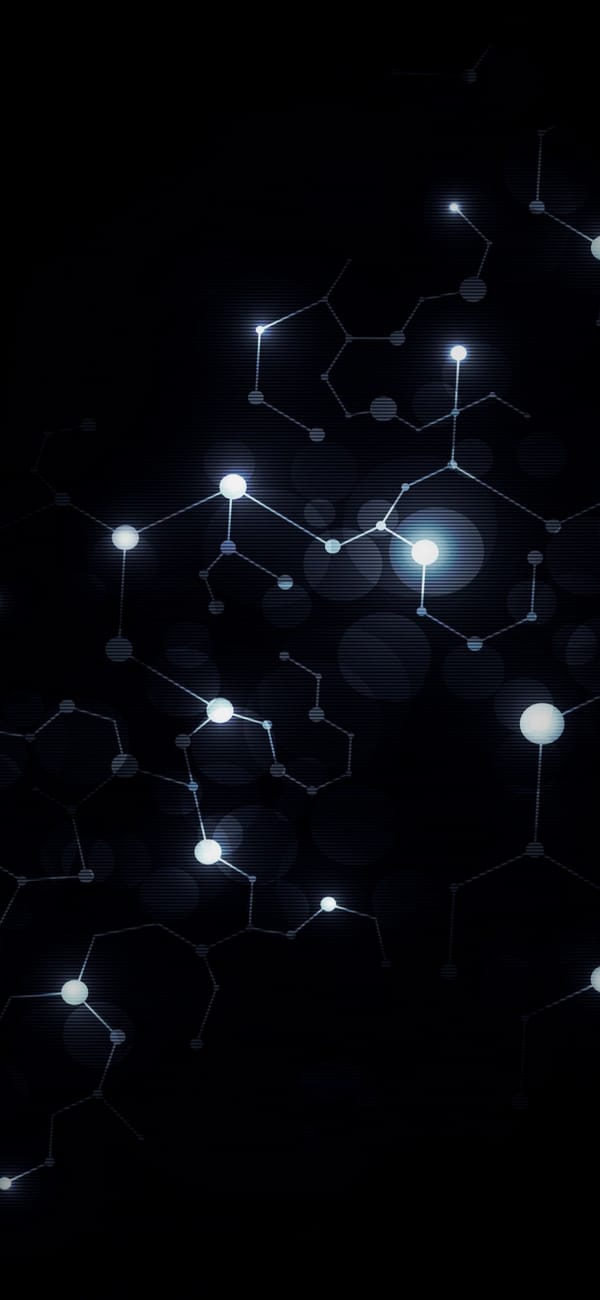 Обои