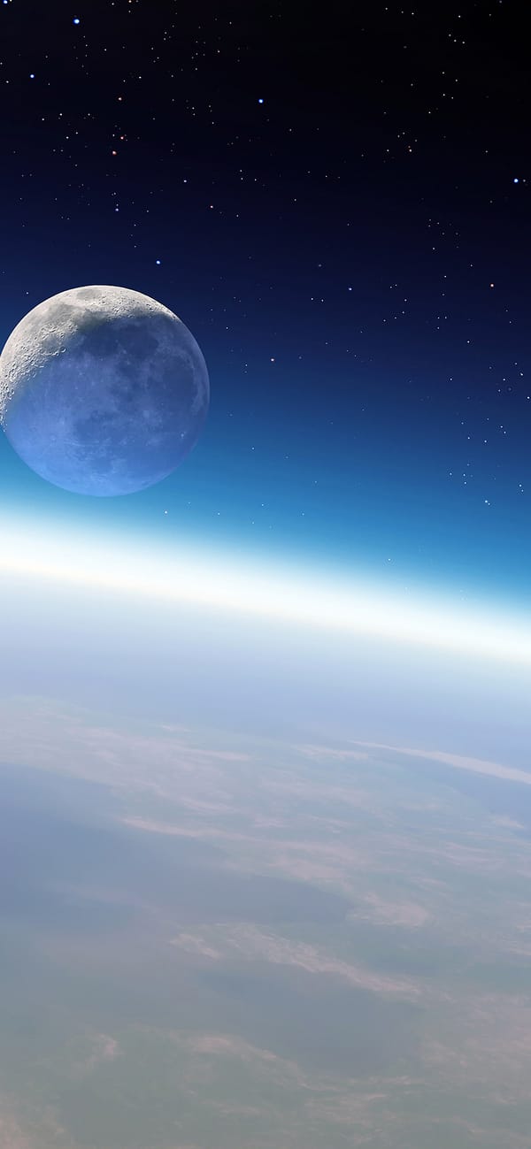 Обои
