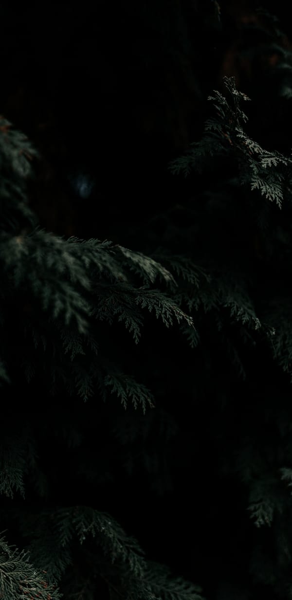 Обои