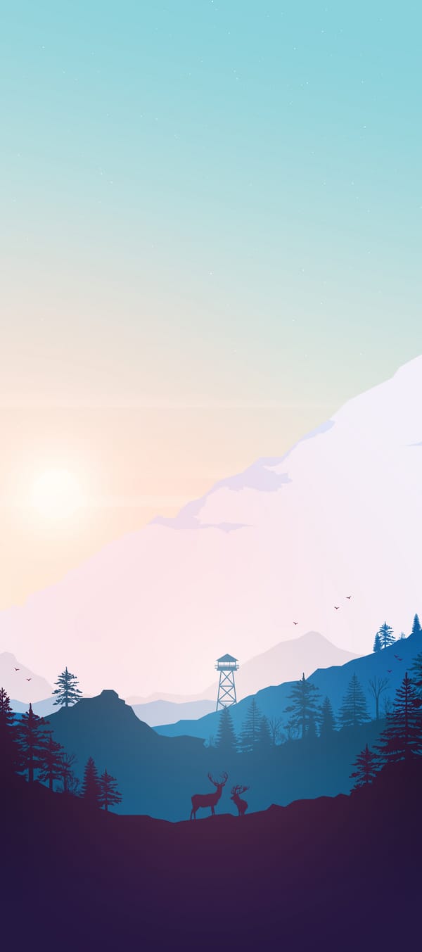 Обои