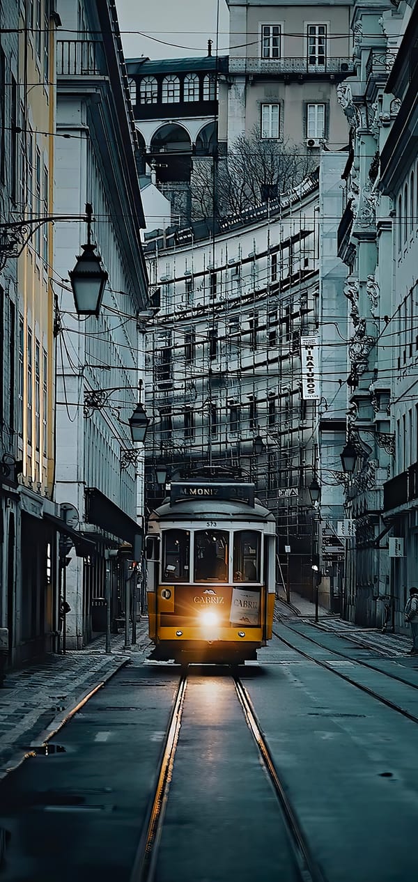 Обои