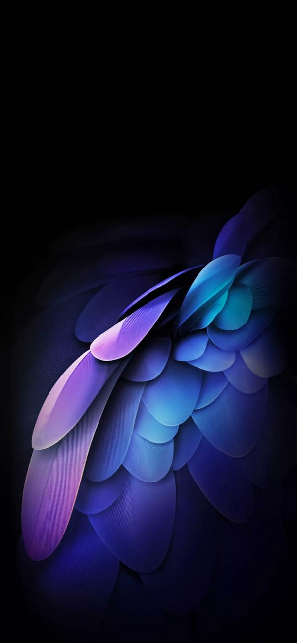 Обои