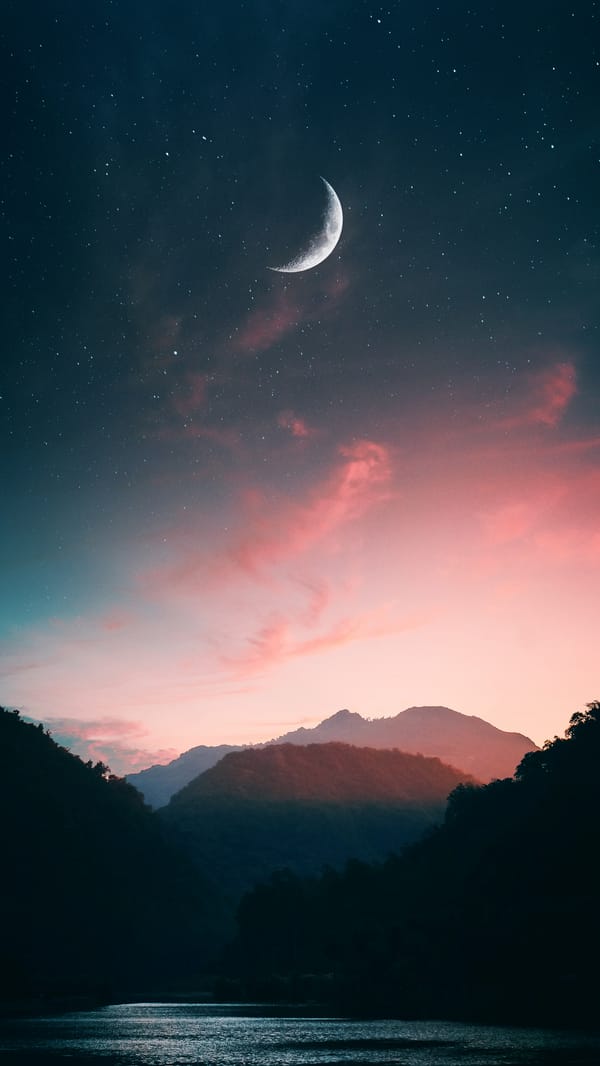 Обои