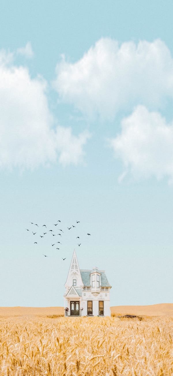 Обои для рабочего стола: Найл Хоран, Лирика, птица, облако, песня