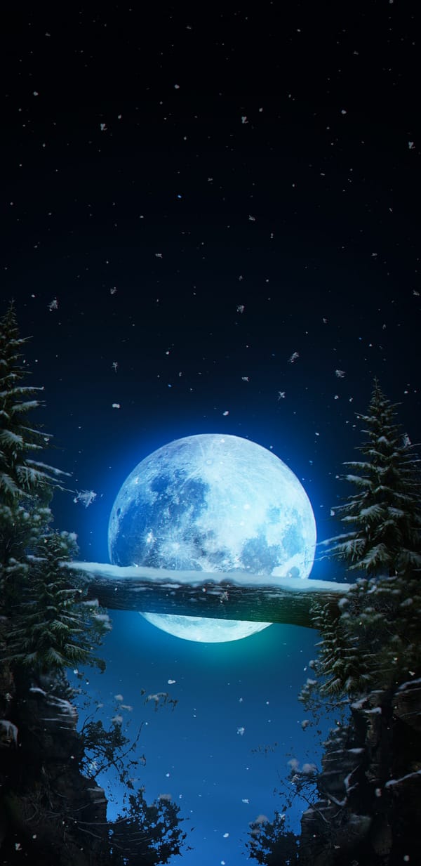 Обои