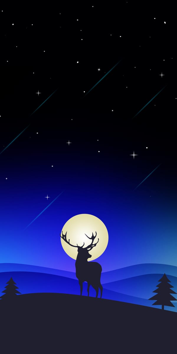 Обои