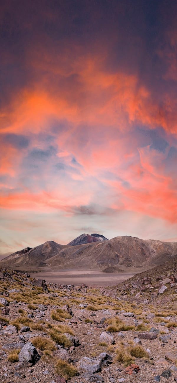 Обои