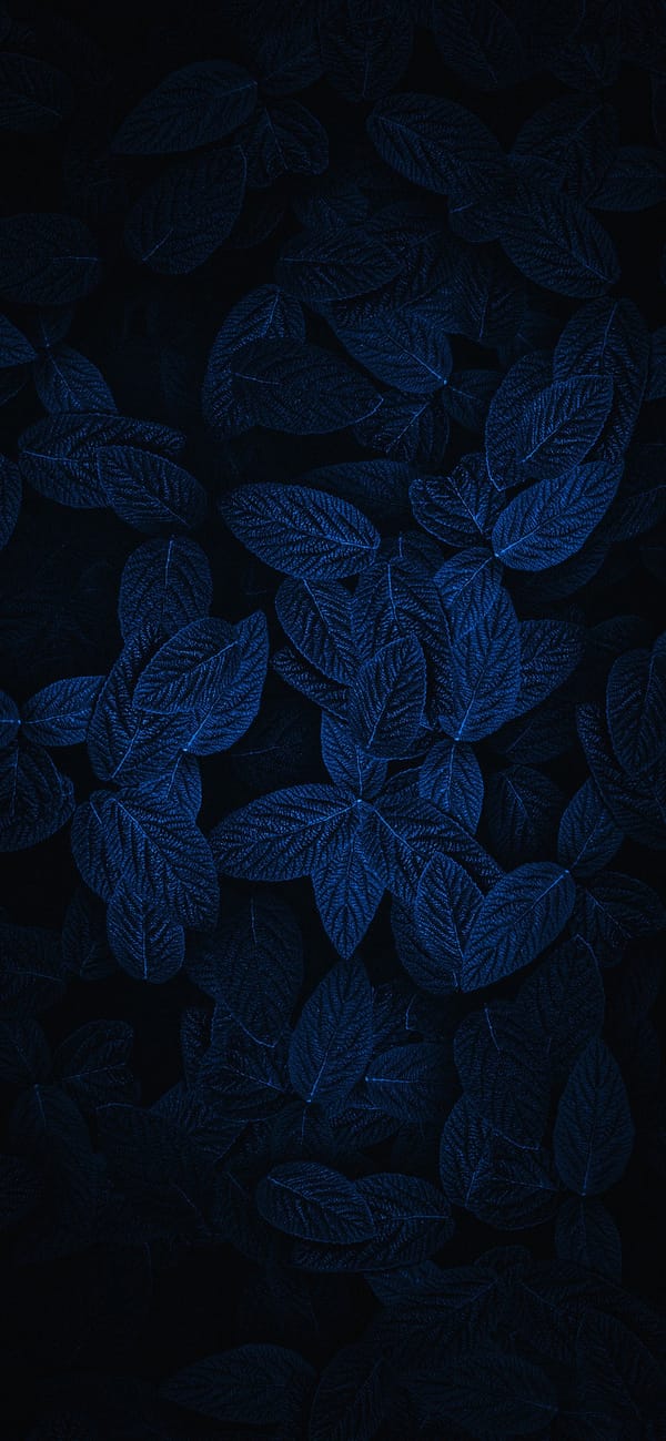 Обои