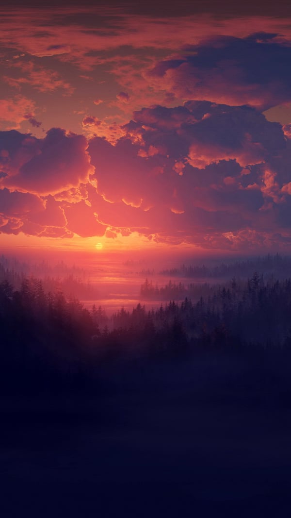 Обои