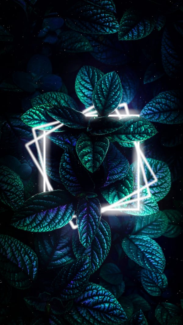 Обои