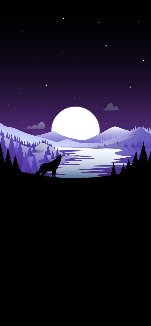 Обои