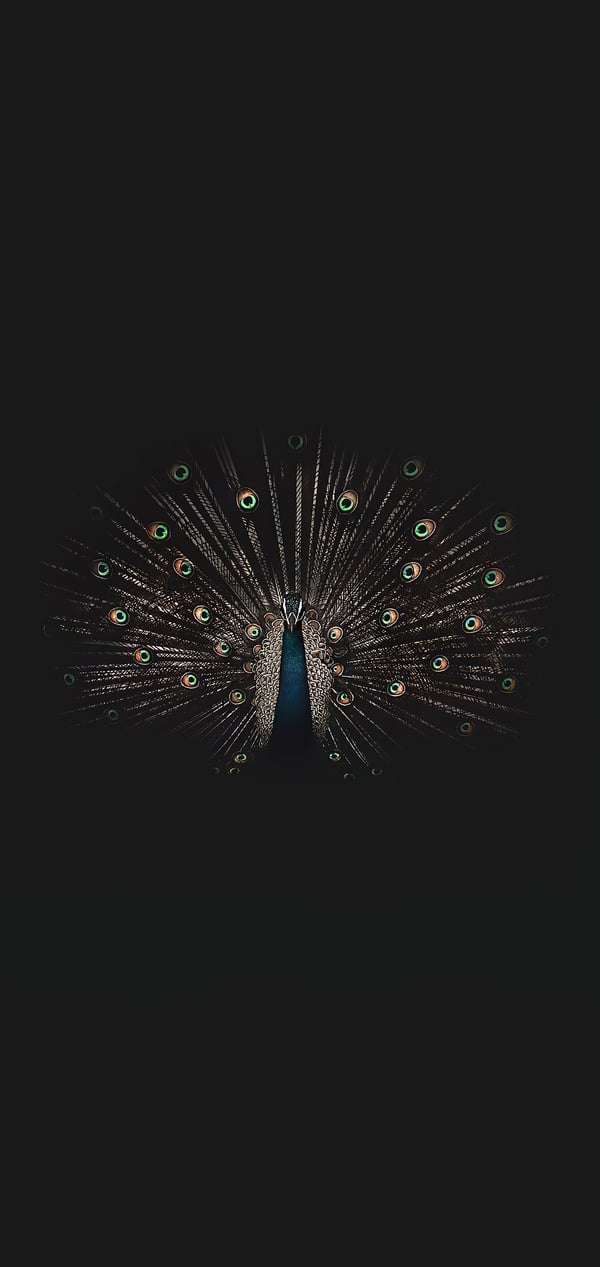 Обои