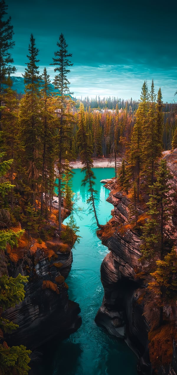 Обои