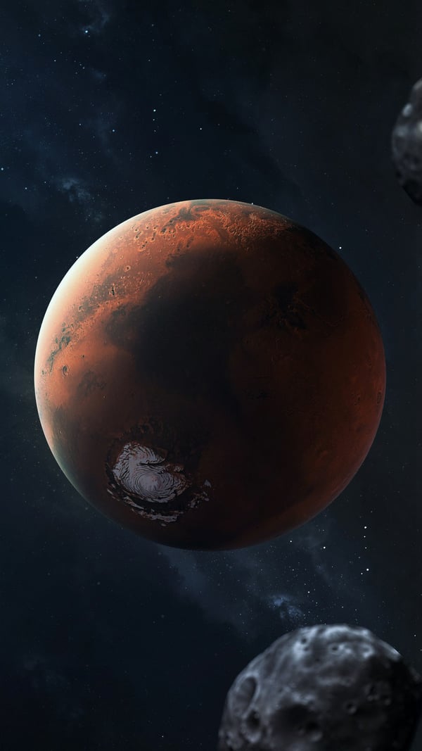 Обои