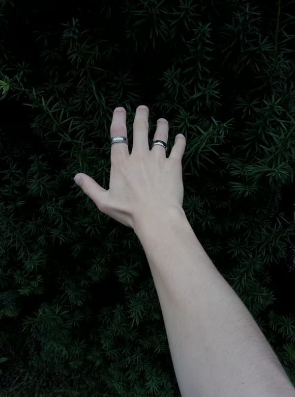 Обои