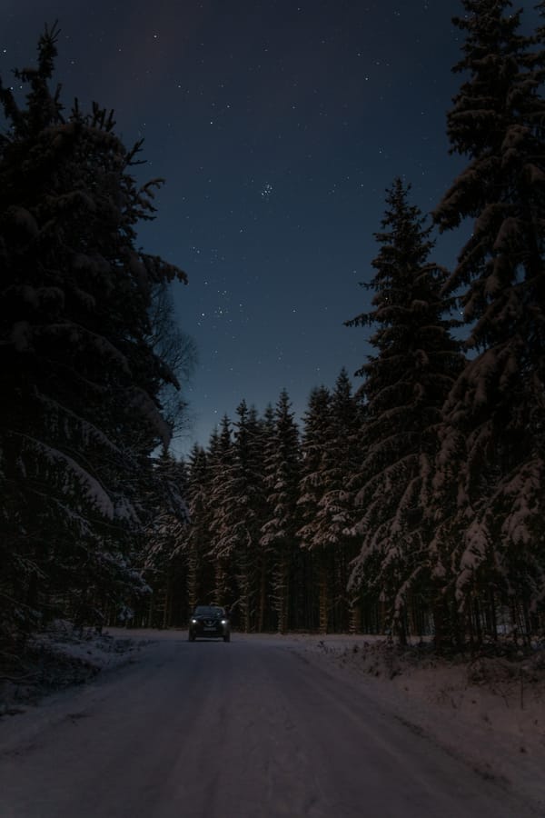 Обои
