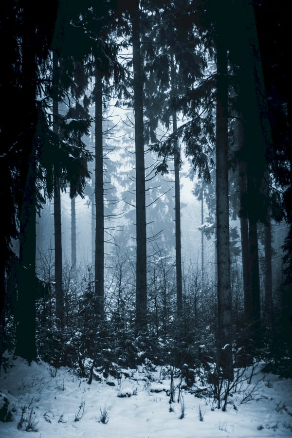 Обои