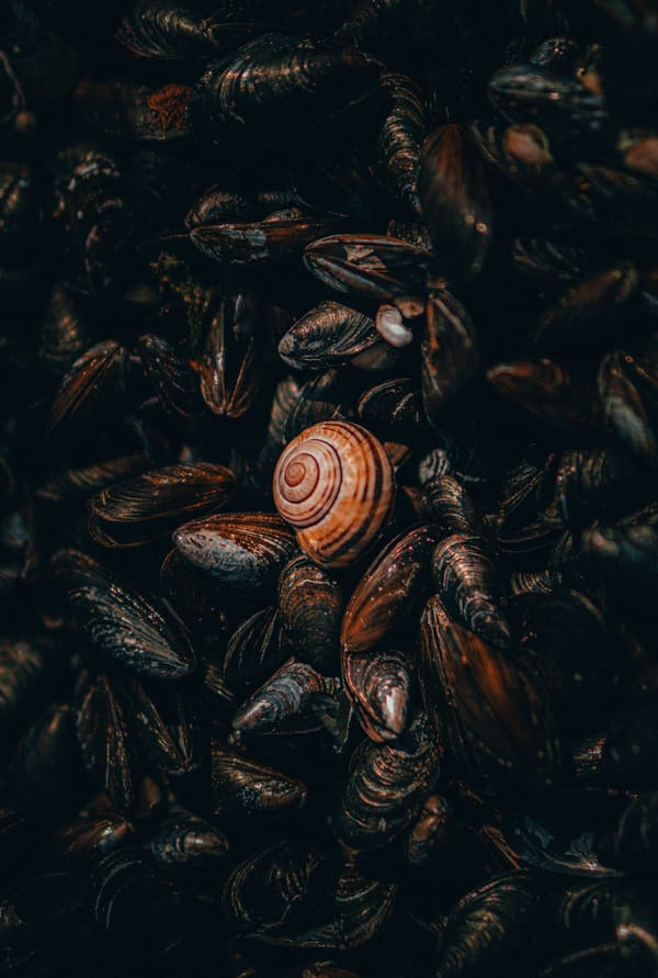 Обои