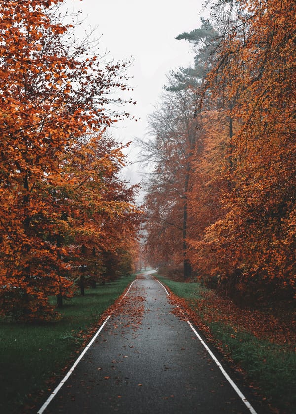 Обои