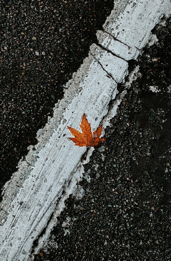 Обои