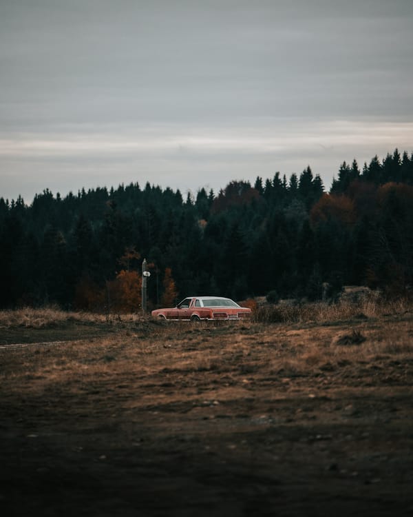 Обои